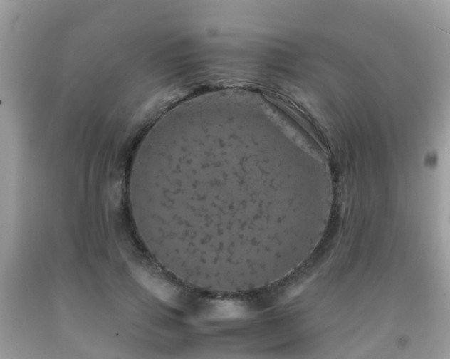 X0000091960741200709061301