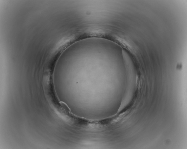 X0000091960744200709061301