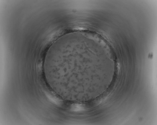 X0000091960745200709061301