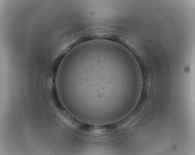 X0000091960746200709061301