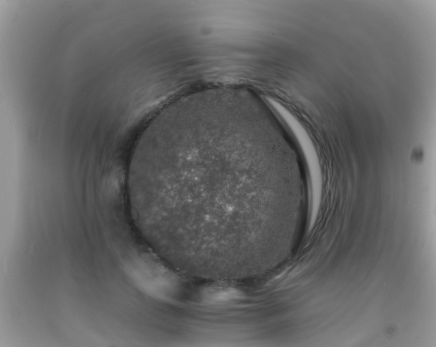 X0000091960747200709061301