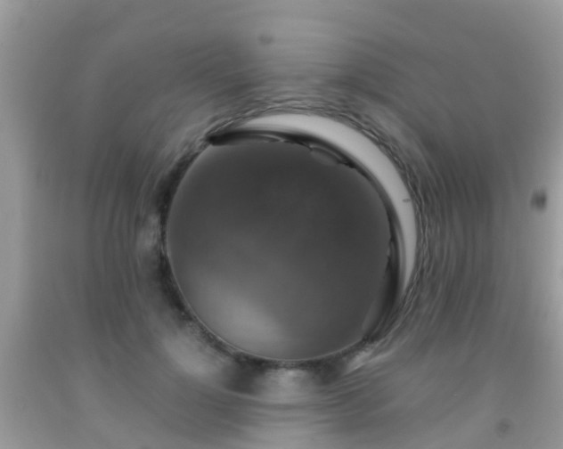 X0000091960748200709061301