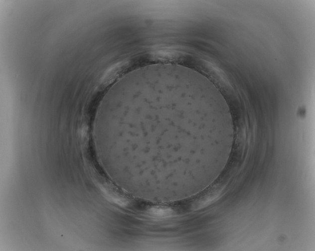 X0000091960749200709061301