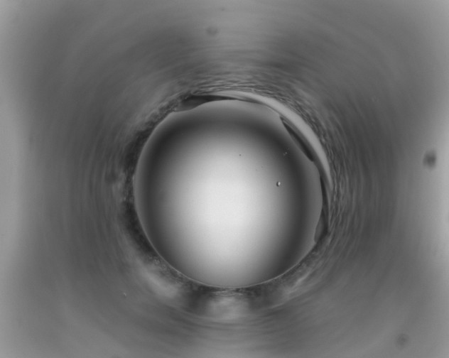 X0000091960750200709061301