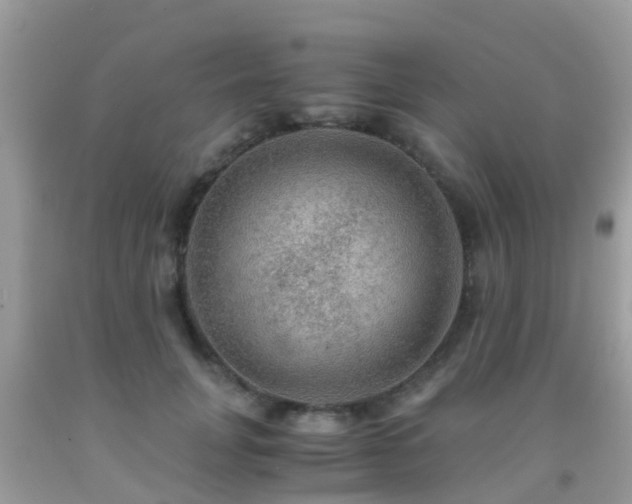 X0000091960751200709061301