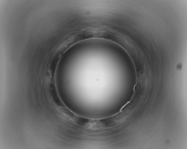 X0000091960752200709061301