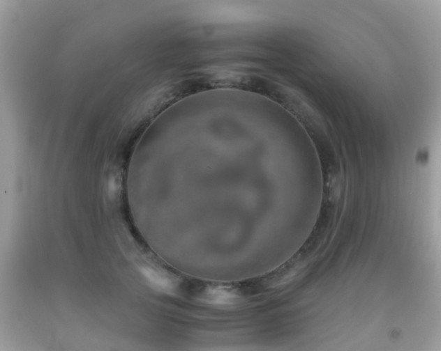 X0000091960753200709061301