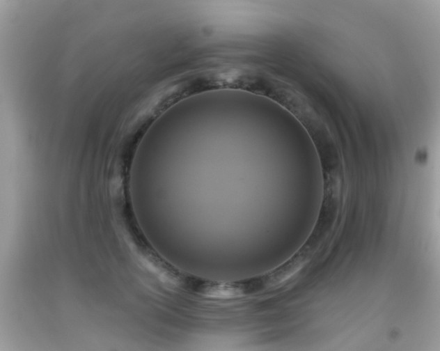 X0000091960754200709061301