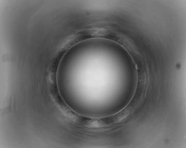 X0000091960755200709061301