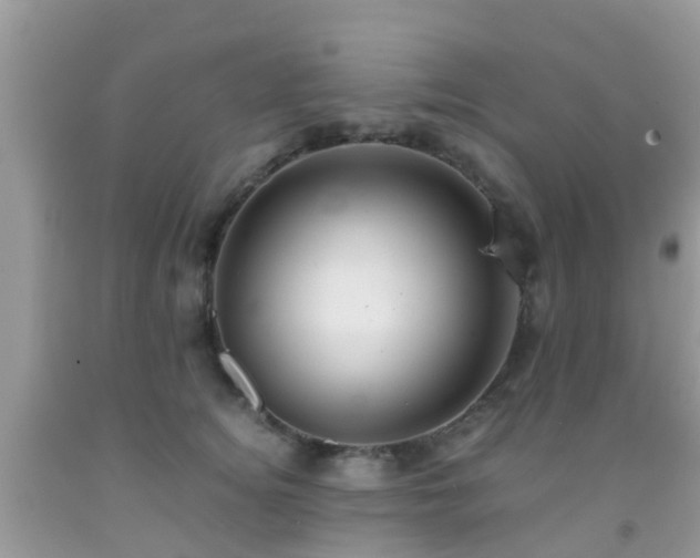 X0000091960756200709061301