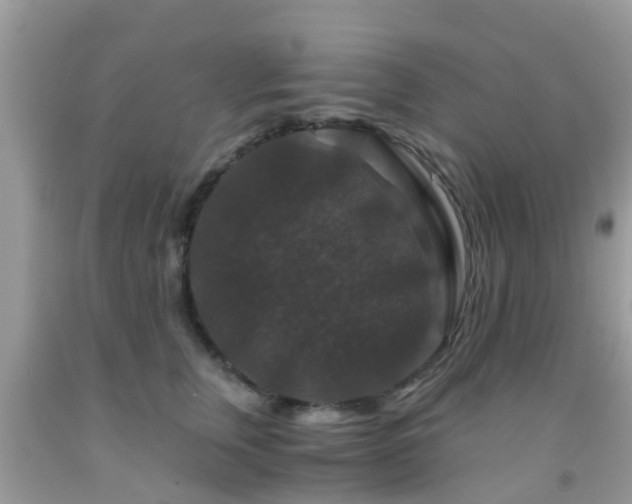 X0000091960759200709061301