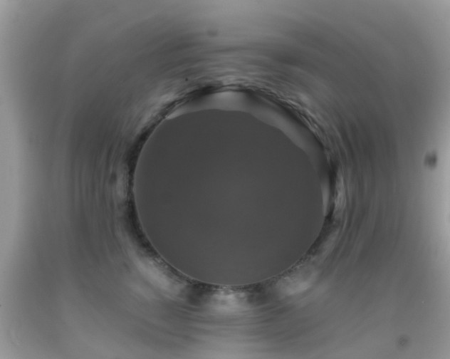 X0000091960760200709061301