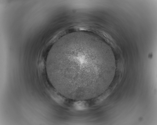 X0000091960761200709061301