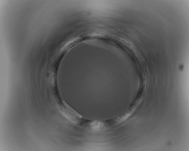 X0000091960762200709061301