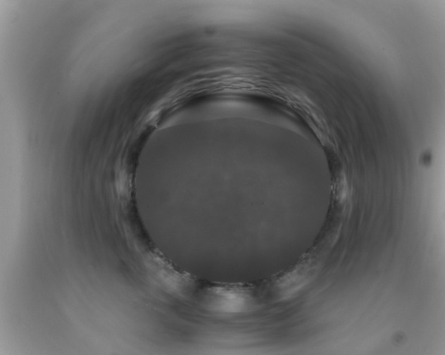 X0000091960763200709061301