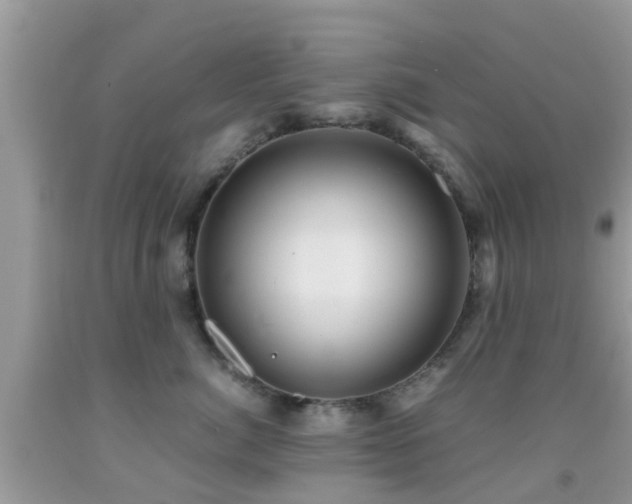 X0000091960764200709061301