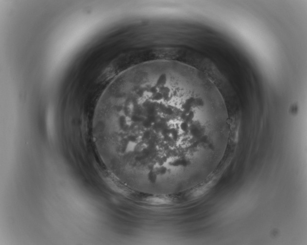 X0000091960765200709061301