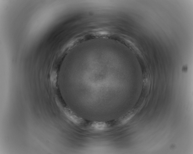 X0000091960767200709061301