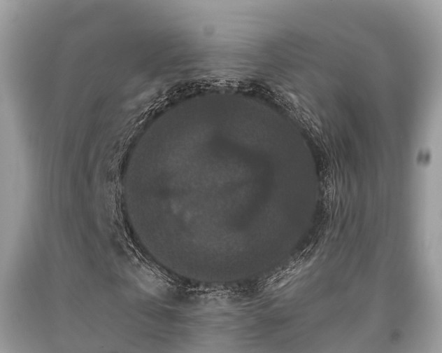 X0000091960769200709061301