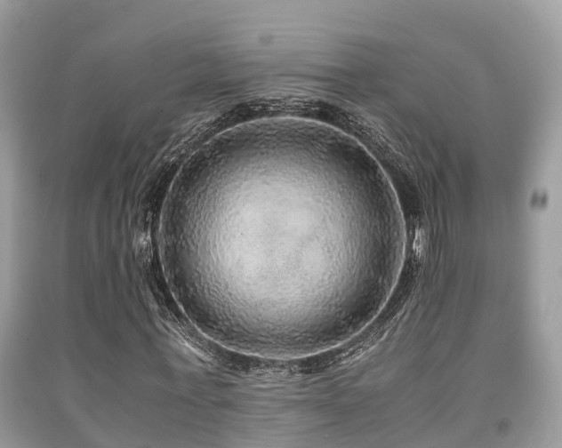 X0000091960771200709061301