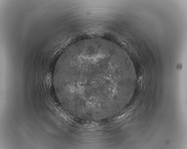 X0000091960772200709061301