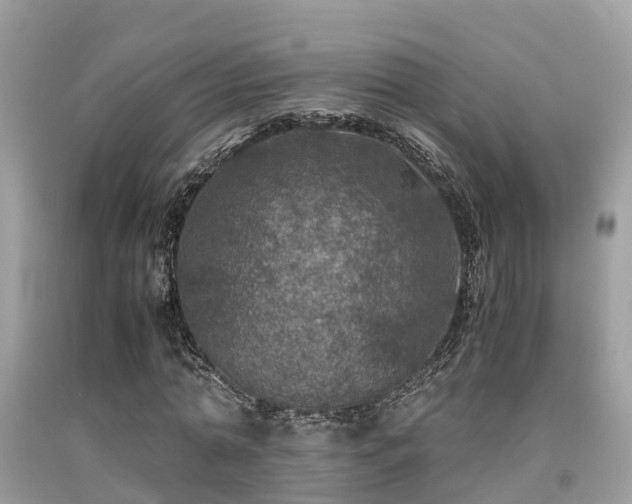 X0000091960774200709061301