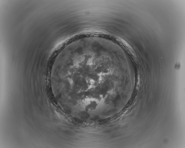 X0000091960775200709061301