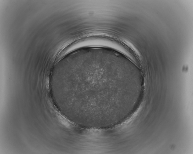 X0000091960777200709061301