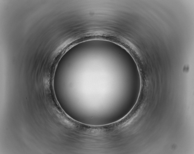 X0000091960778200709061301