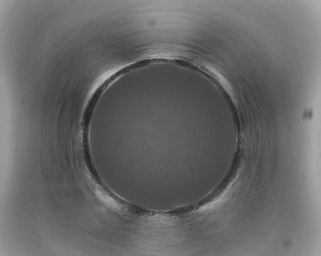 X0000091960779200709061301