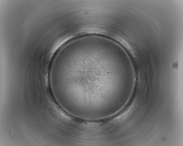 X0000091960782200709061301