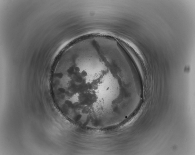 X0000091960783200709061301