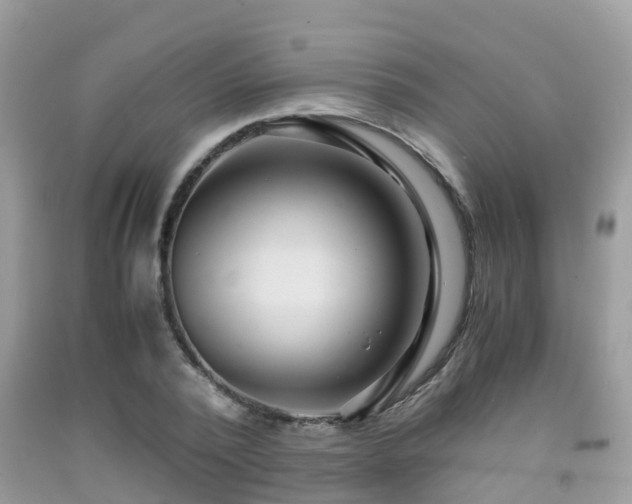 X0000091960784200709061301