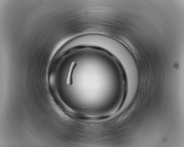 X0000091960788200709061300