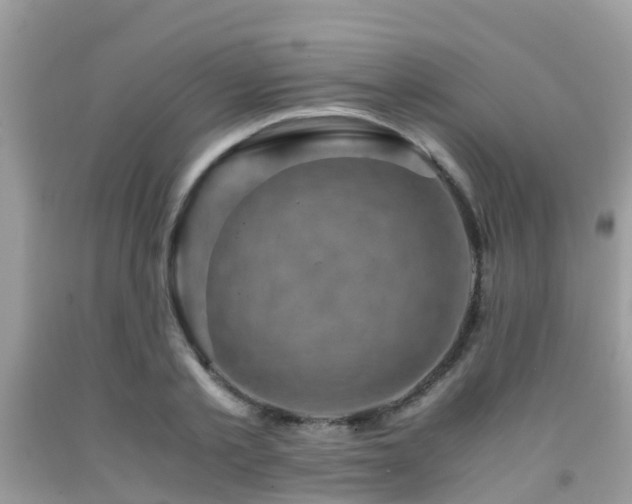 X0000091960789200709061300