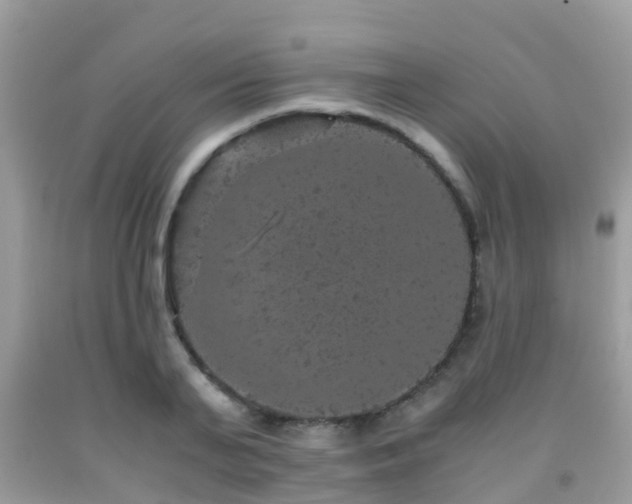 X0000091960791200709061300