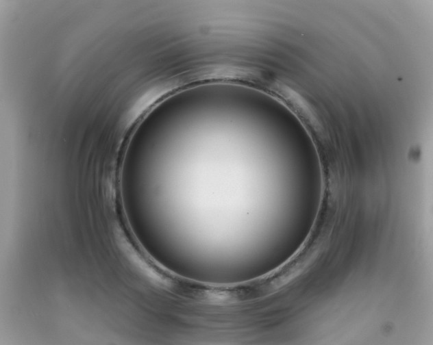 X0000091960794200709061300