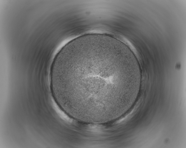 X0000091960795200709061300