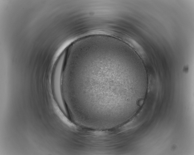 X0000091960796200709061300