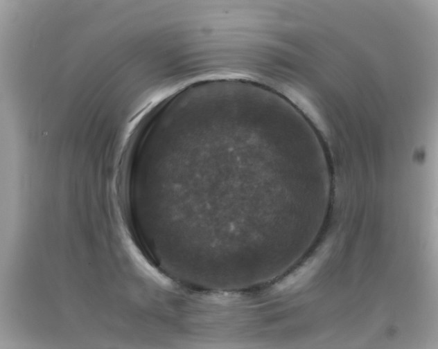 X0000091960797200709061300