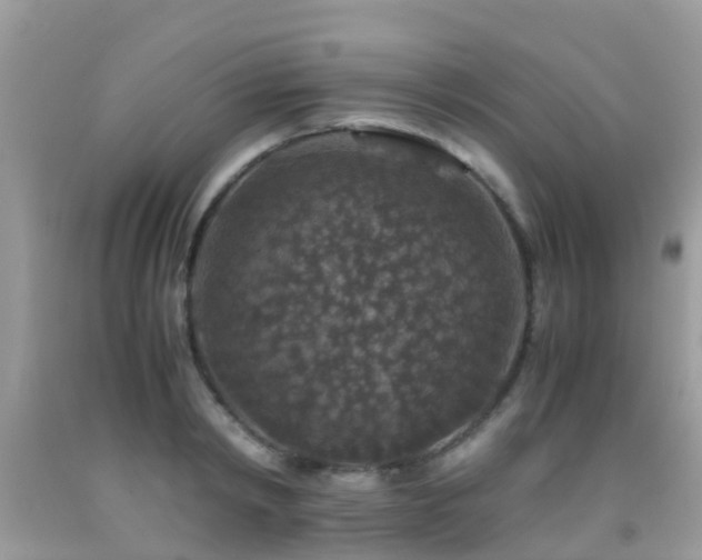 X0000091960798200709061300