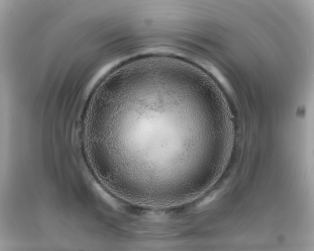 X0000091960799200709061300