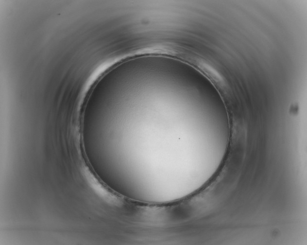 X0000091960800200709061300