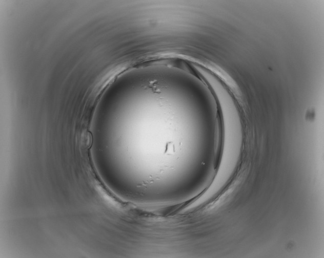 X0000091960801200709061300