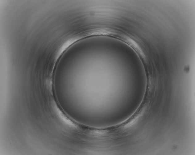 X0000091960802200709061300