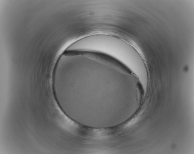 X0000091960803200709061300