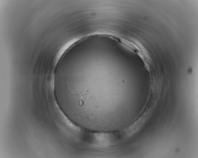 X0000091960804200709061300