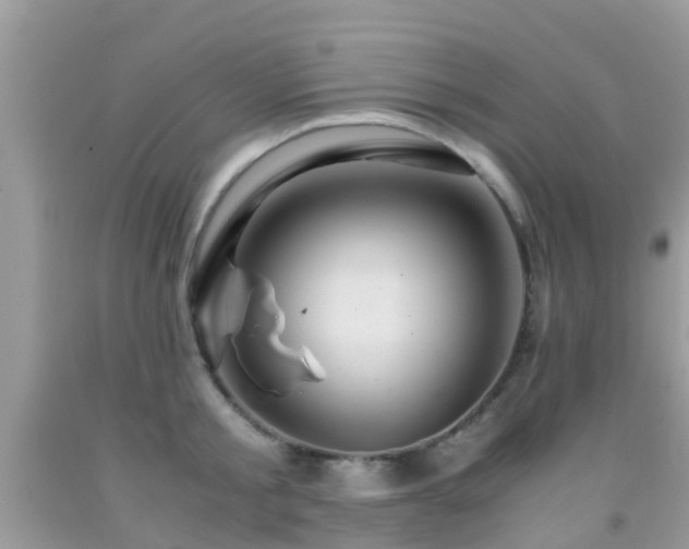 X0000091960805200709061300