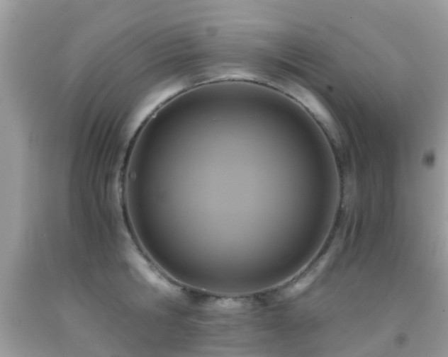 X0000091960806200709061300