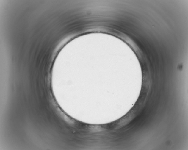 X0000091960807200709061300